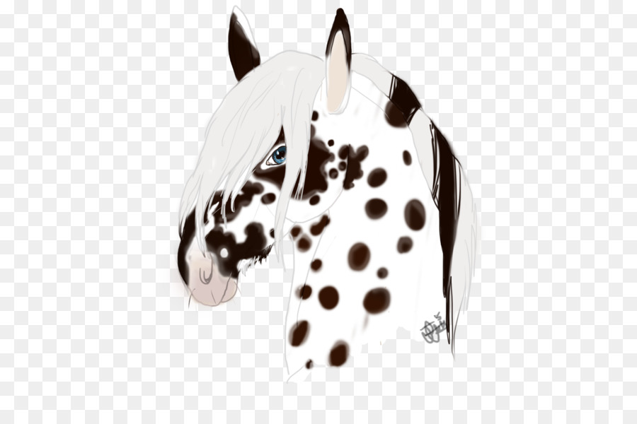 Kuda，Anjing Dalmatian PNG