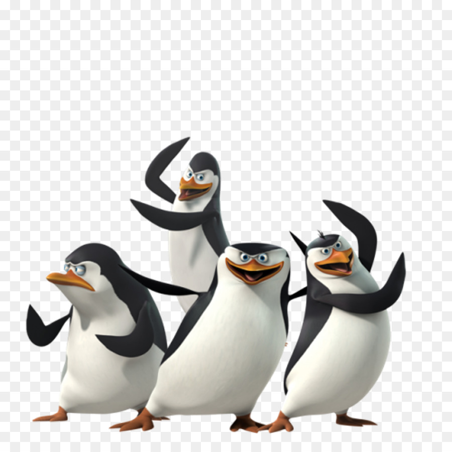 Penguin，Kartun PNG