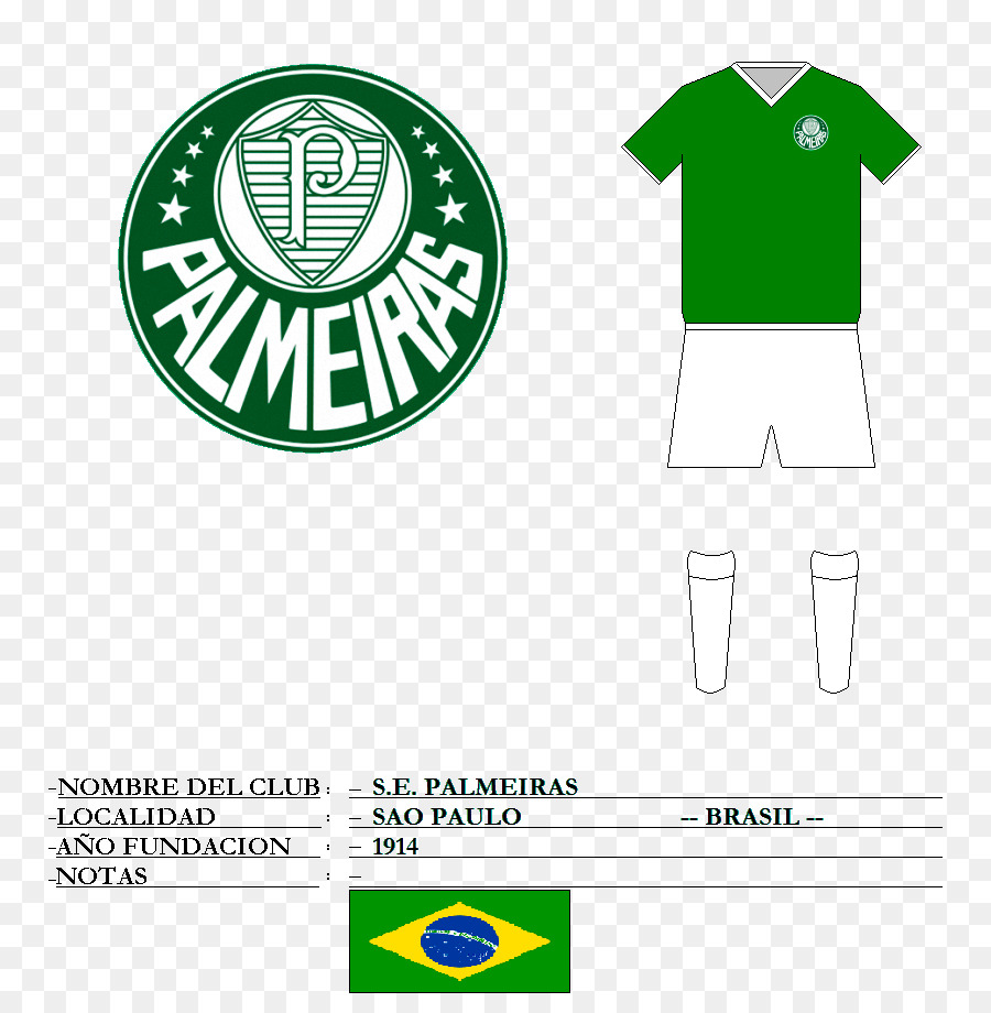 Logo Klub Sepak Bola Palmeiras，Sepak Bola PNG