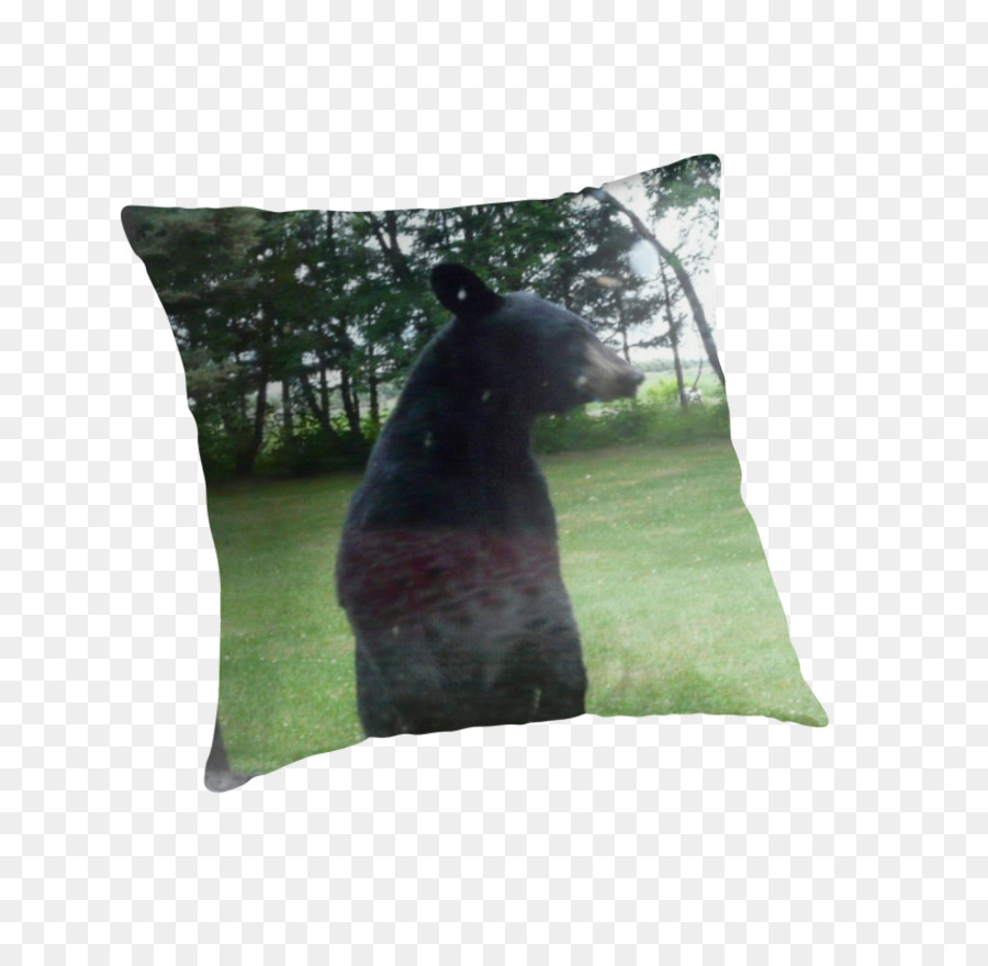 Bantal，Moncong PNG