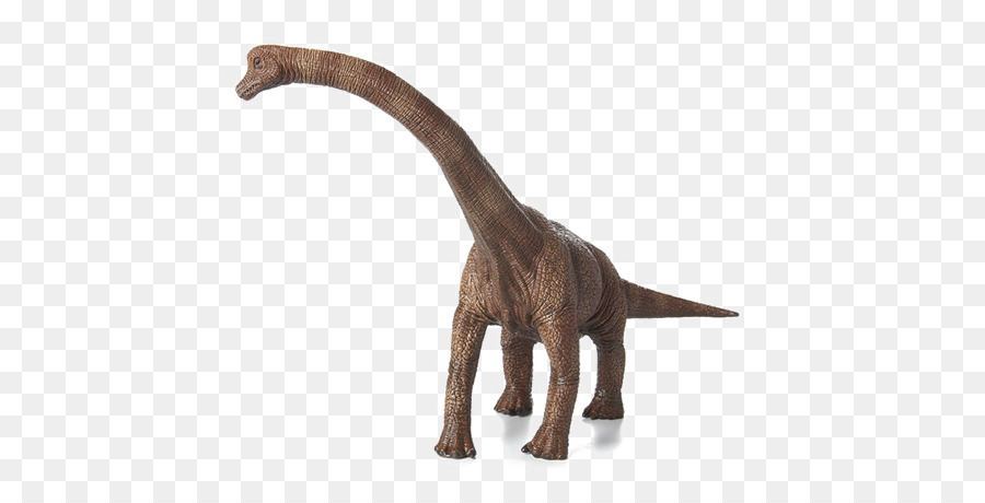 Brachiosaurus，Dinosaurus PNG