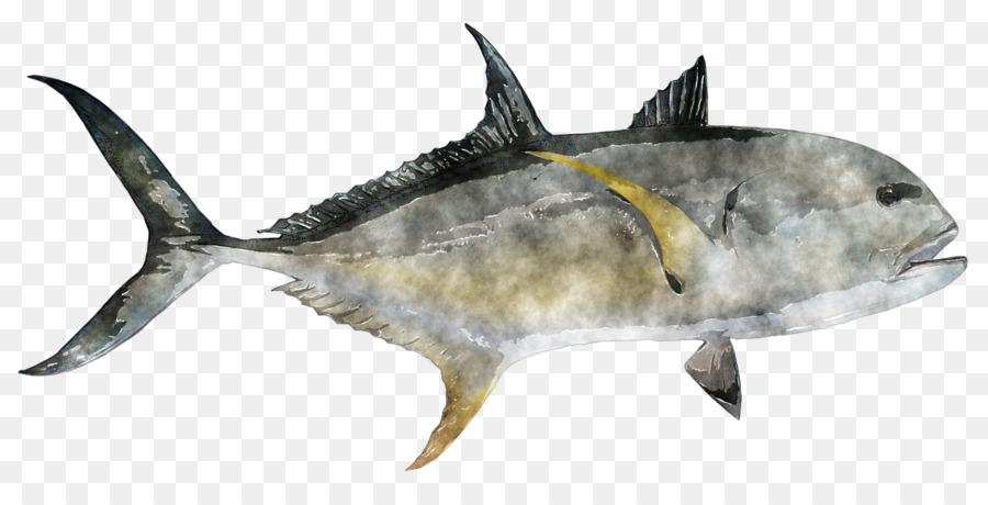 Ikan，Ikan Todak PNG