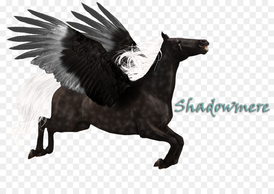 Mustang，Kuda PNG