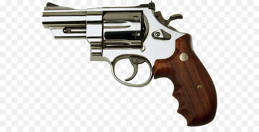 500 Sw Magnum，Smith Wesson PNG