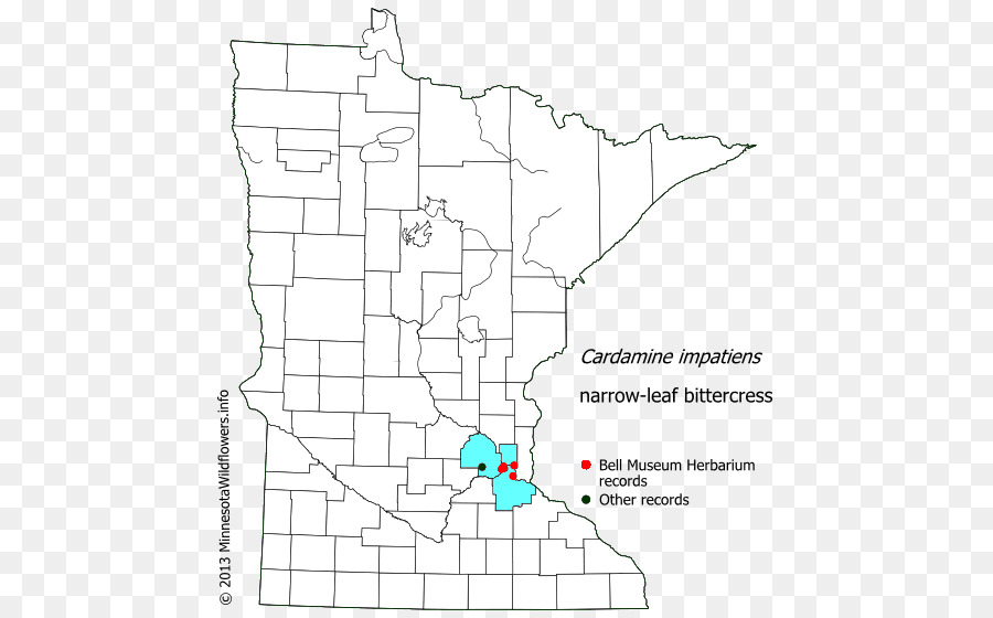 Freeborn County Minnesota，Douglas County Minnesota PNG
