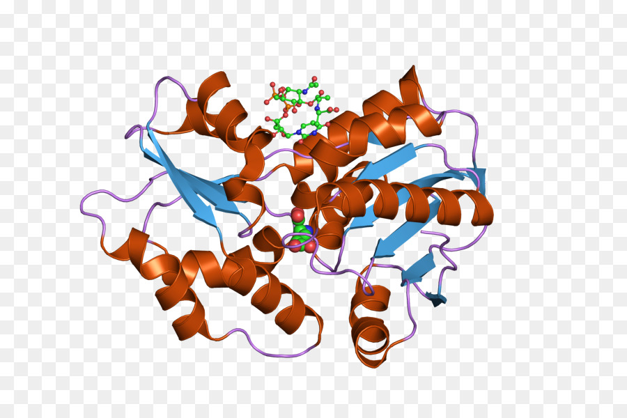 Makanan，Teks PNG