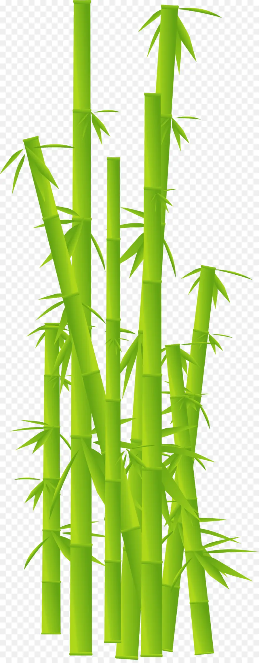 Bambu Hijau，Daun Daun PNG