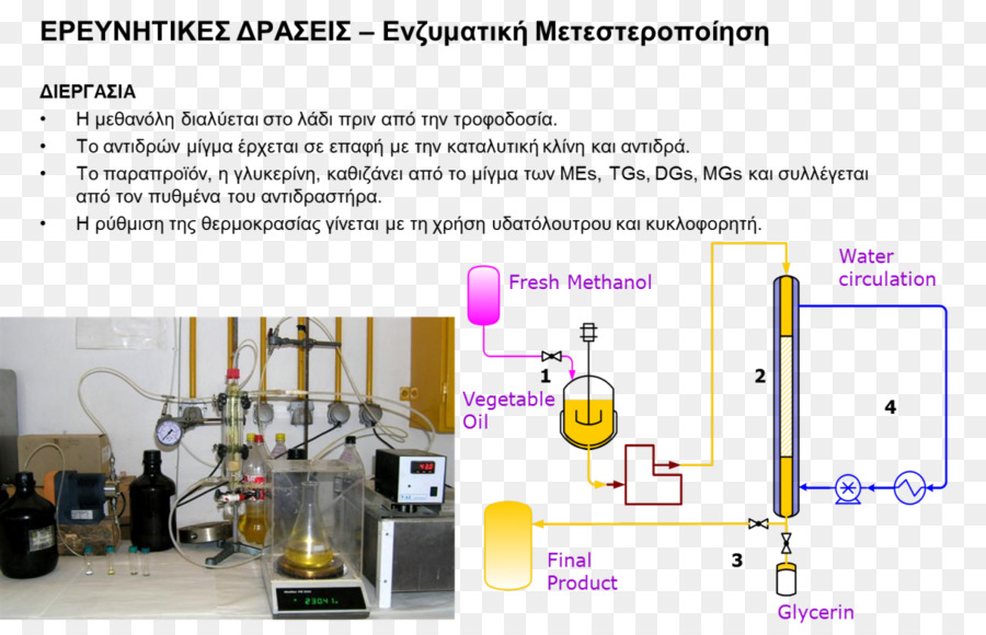 Biodiesel，Proses PNG