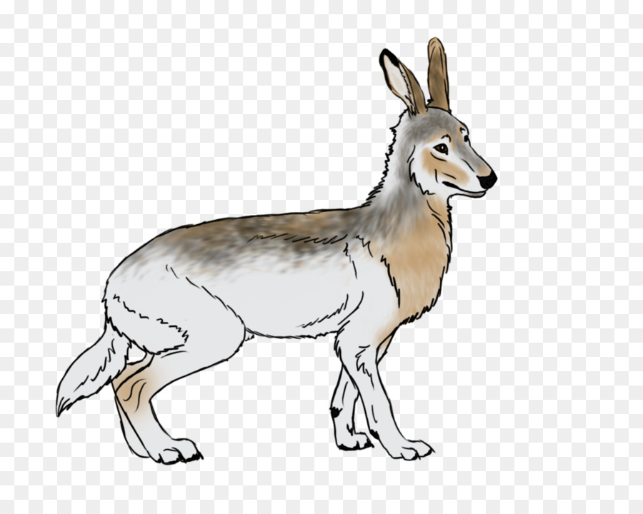 Jackal，Musk Rusa PNG