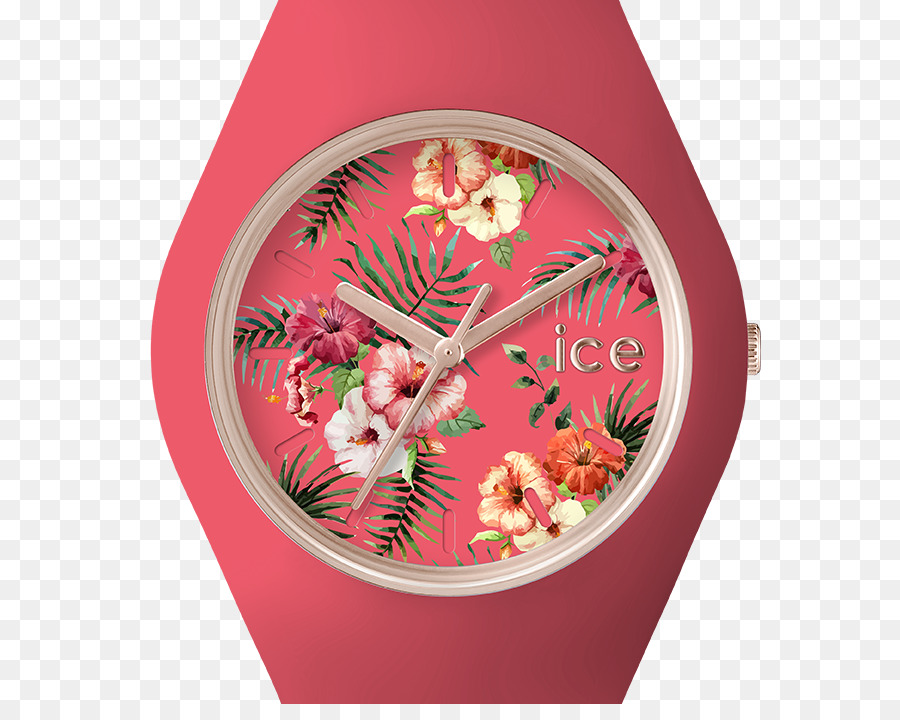 Watch，Ice Watch PNG