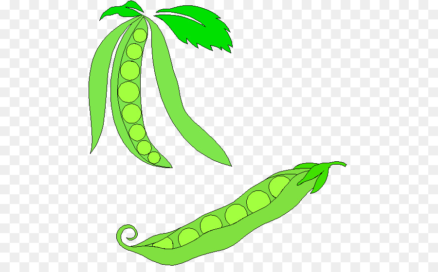 Kacang，Sayuran PNG