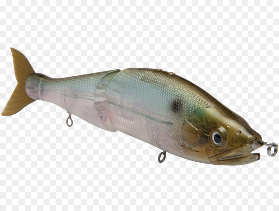 Umpan Ikan，Penangkapan Ikan PNG