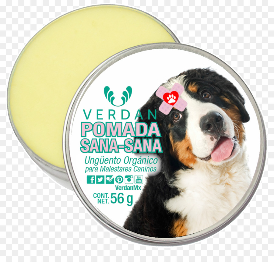 Bernese Mountain Dog，Lebih Besar Swiss Mountain Dog PNG