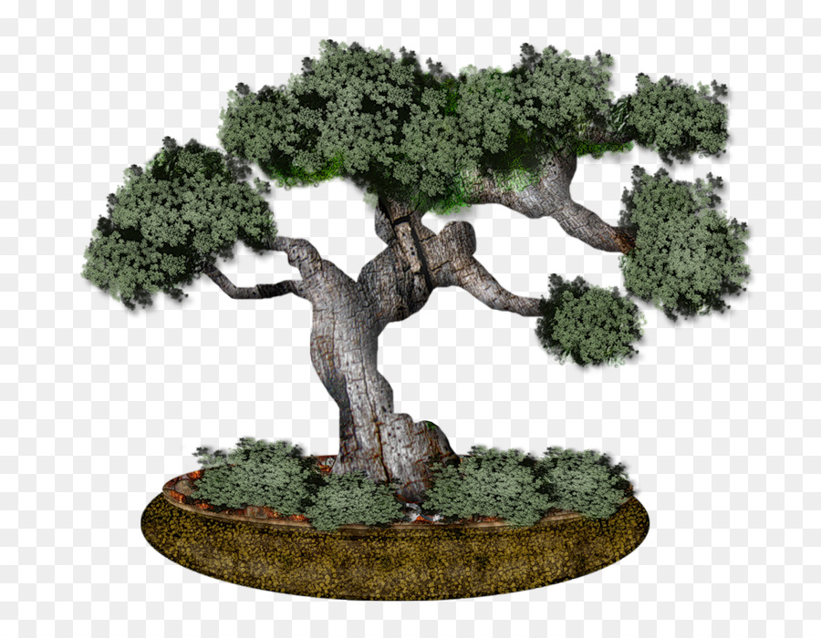 Pohon Bonsai，Miniatur PNG