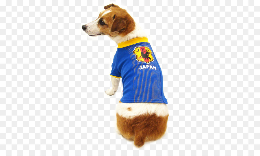 Tim Nasional Sepak Bola Jepang，Anjing PNG
