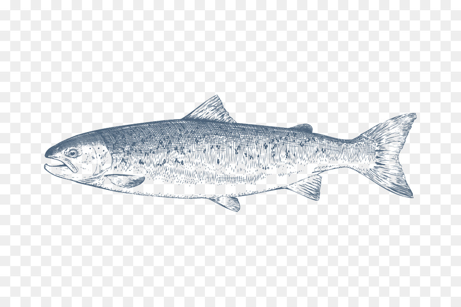 Ikan，Akuatik PNG