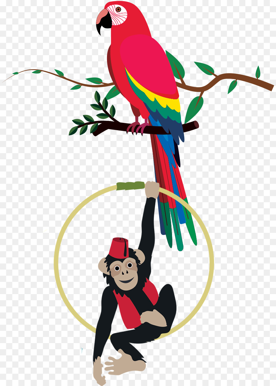 Macaw，Paruh PNG