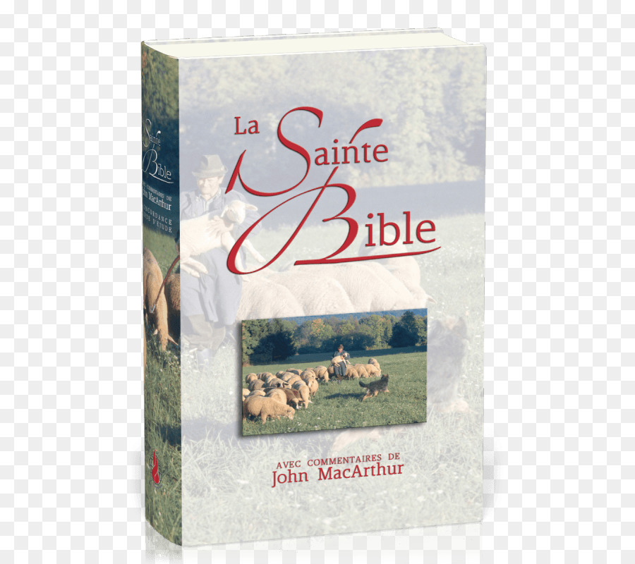 Alkitab，Alkitab Pembelajaran Macarthur PNG