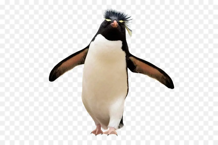 Penguin，Kedudukan PNG