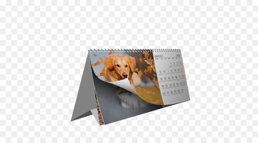 Kalender，Tanggal Kalender PNG