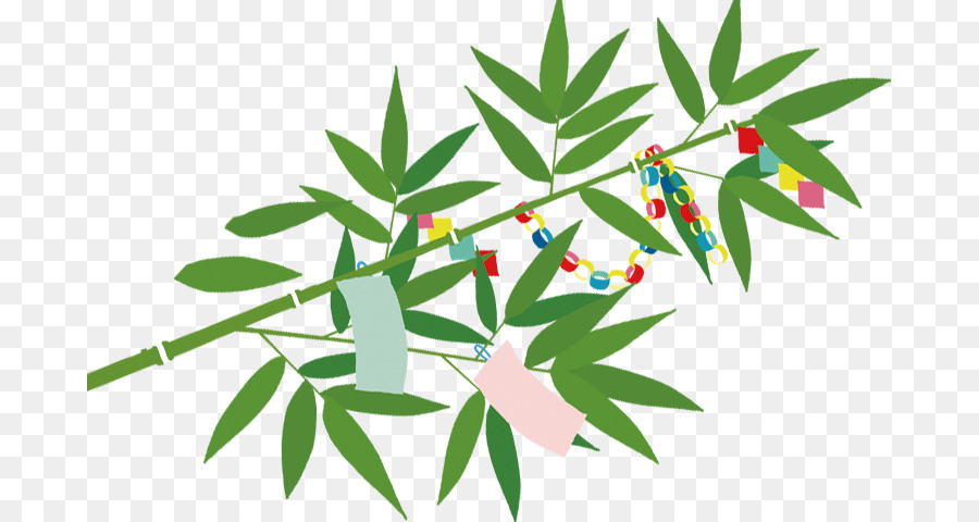 Tanabata，Israel PNG