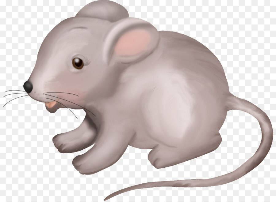 Tikus Kartun，Hewan PNG