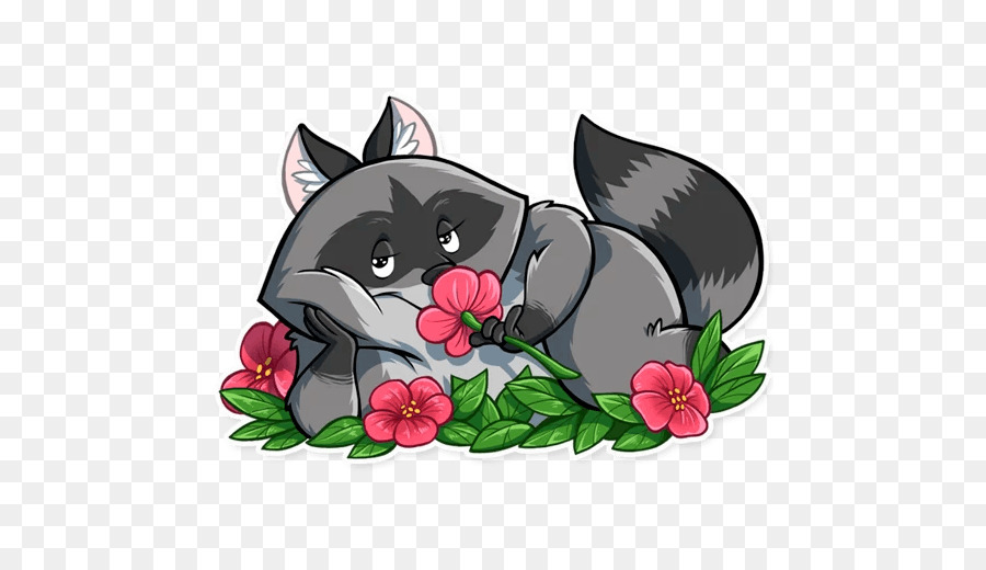 Raccoon，Kumis PNG