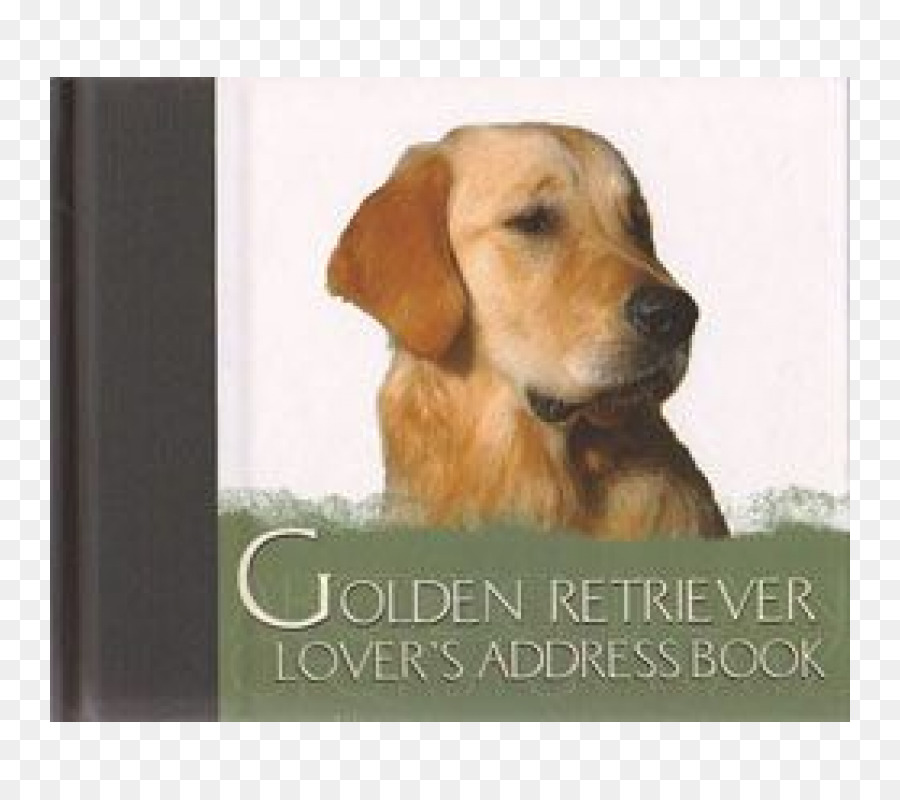 Golden Retriever，Labrador Retriever PNG