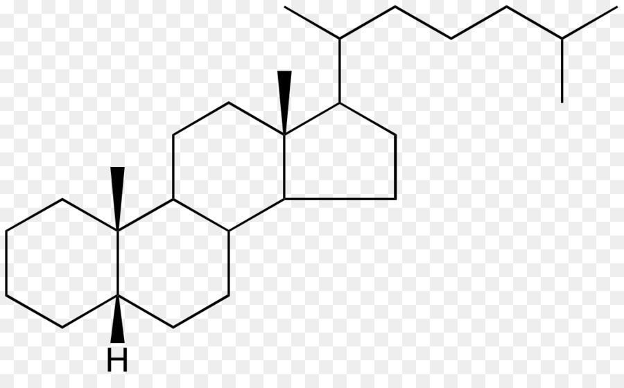 Cholesteryl Klorida，Cholesteryl Nonanoate PNG