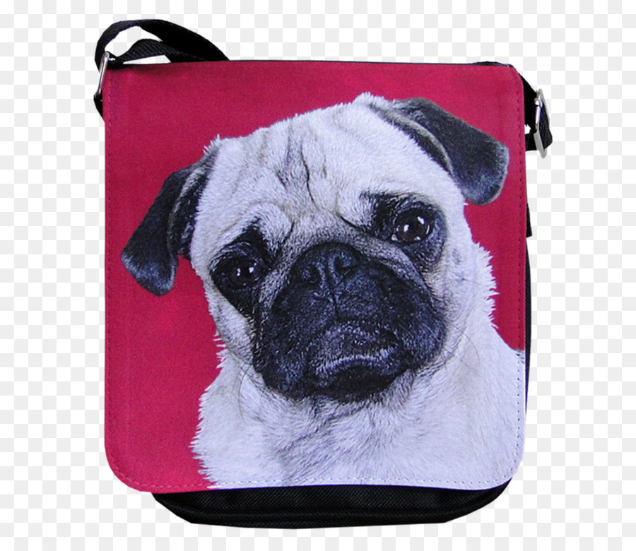 Pug，Anjing PNG