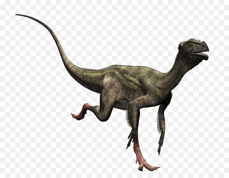 Dinosaurus，Prasejarah PNG