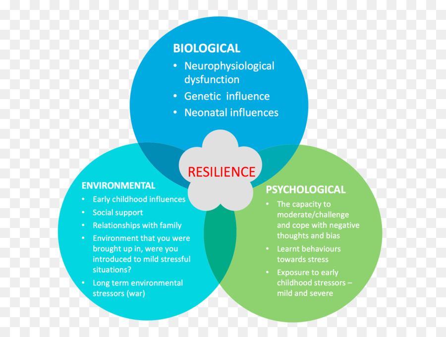 Diagram Ketahanan，Biologis PNG