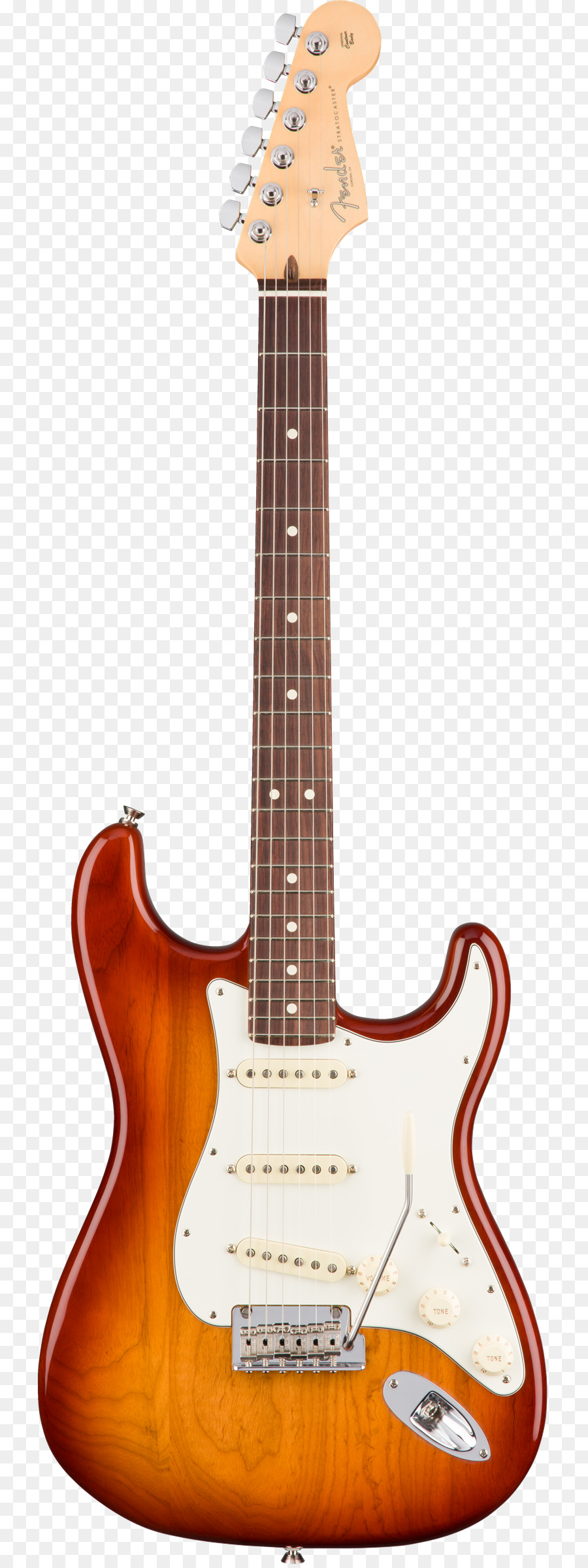 Fender Stratocaster，Fender Musik Instrumen Corporation PNG
