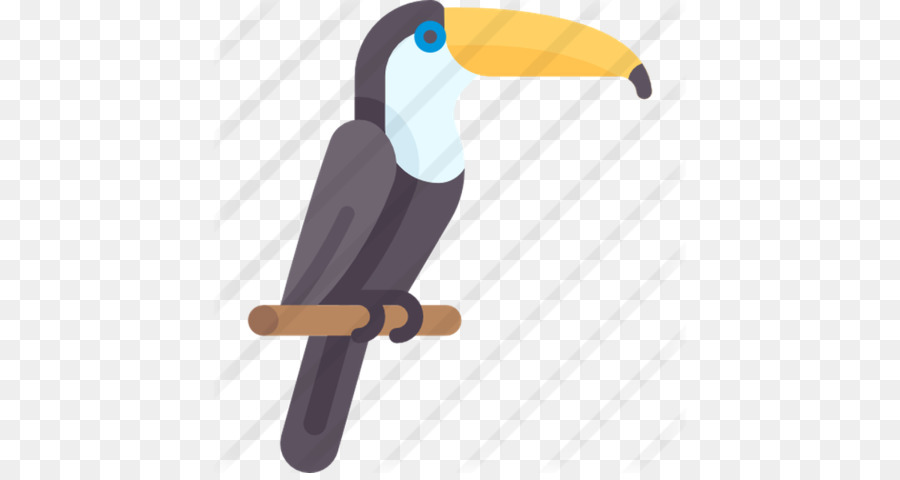 Paruh，Toucan PNG