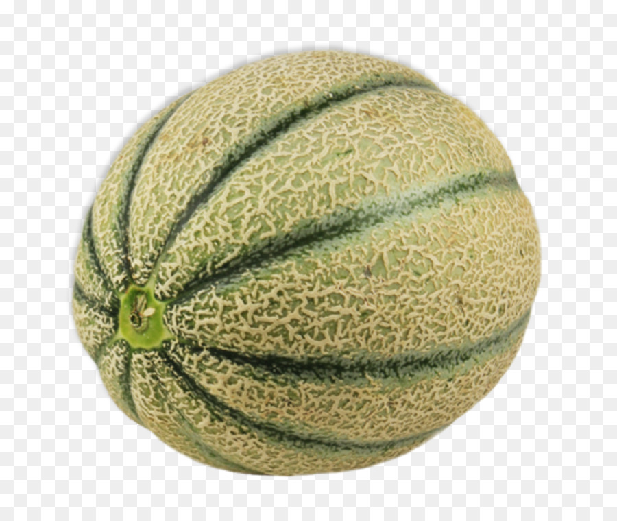 Semangka Dan Blewah，Melon PNG