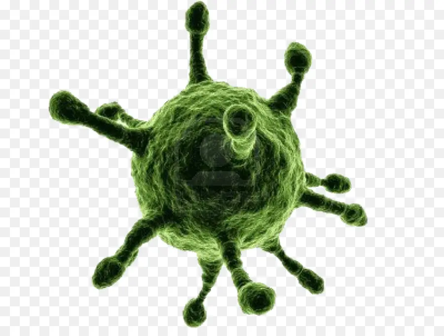 Virus，Infeksi PNG