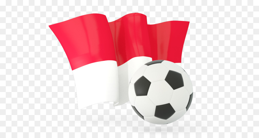 Tim Nasional Sepak Bola Mesir，Piala Dunia 2018 PNG