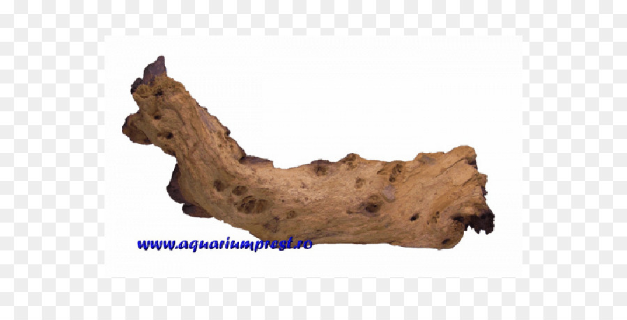 Driftwood，Rahang PNG