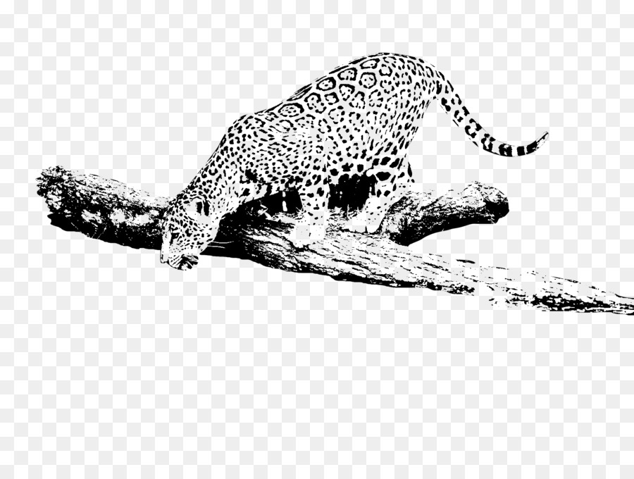 Macan Tutul，Mobil Jaguar PNG