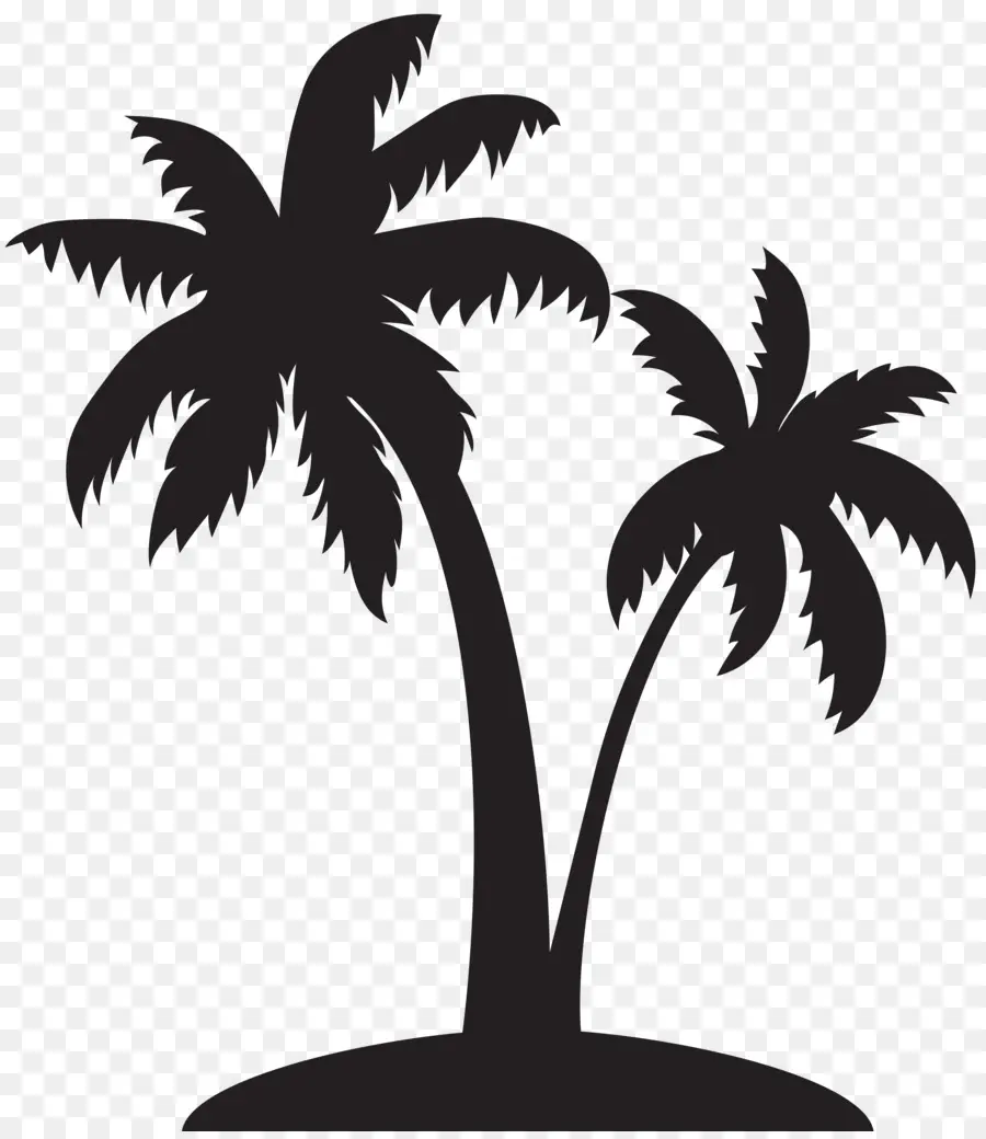 Arecaceae，Siluet PNG