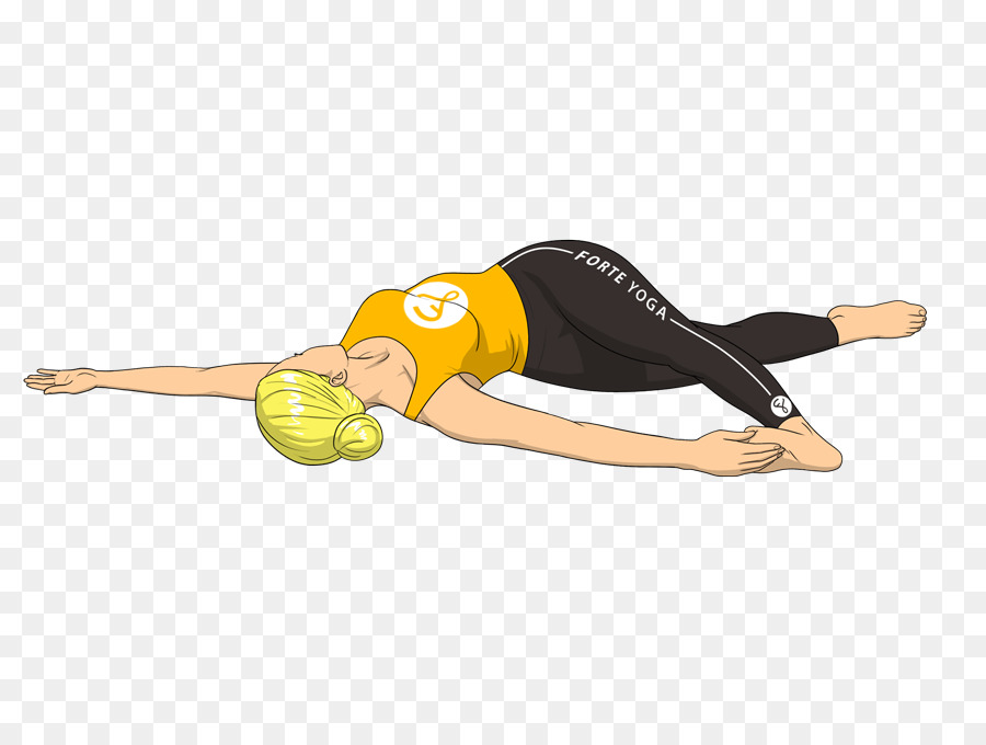 Yoga Anatomi，Yoga PNG