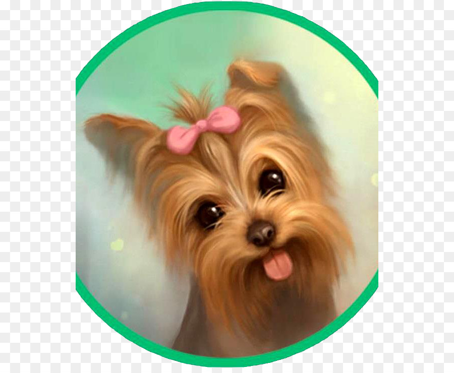 Yorkshire Terrier，Anjing PNG