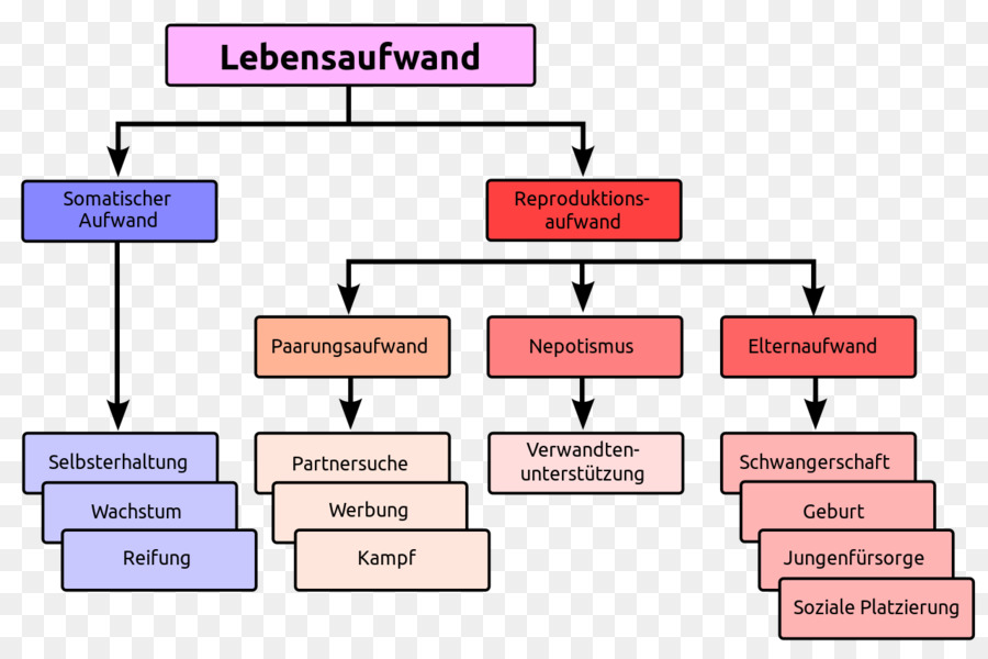 Flow Chart，Jerman PNG