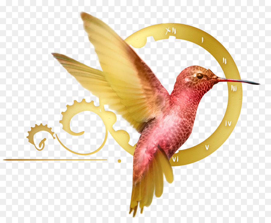 Hummingbird，Hummingbird M PNG