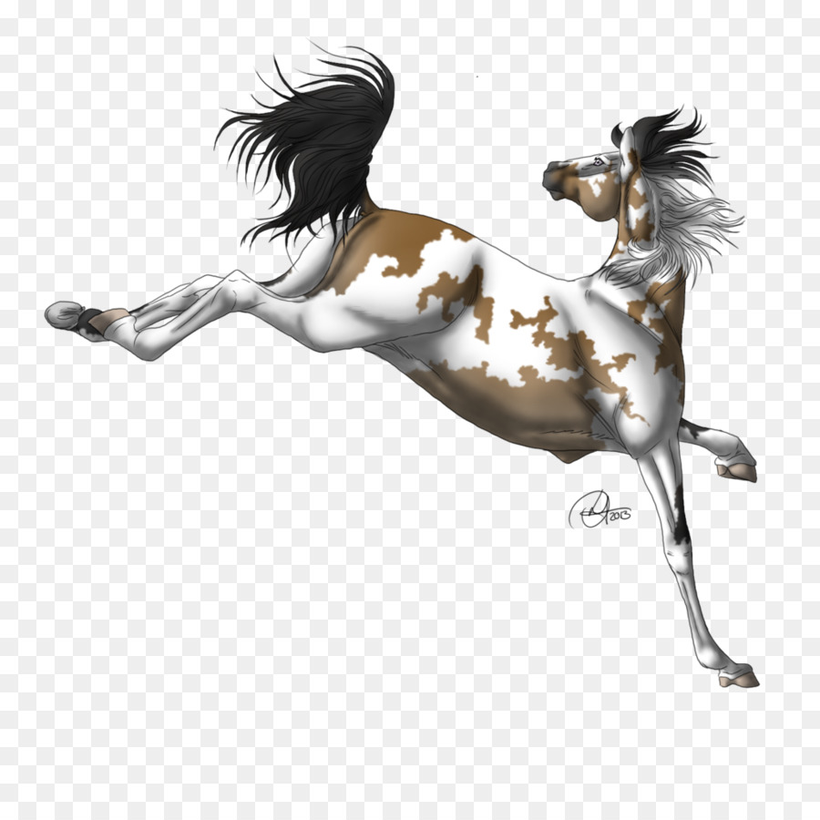 Mustang，Kuda PNG