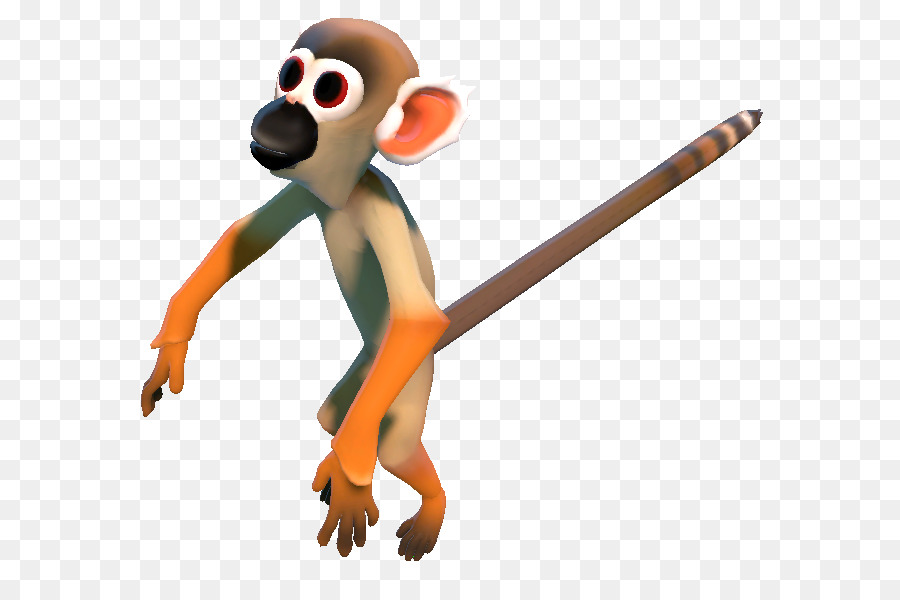 Monyet，Primata PNG
