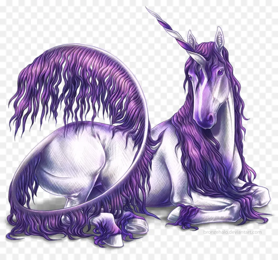 Unicorn，Kuda PNG