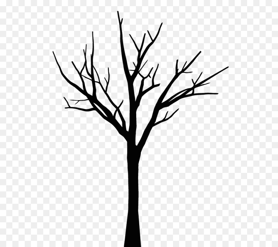 Gambar Pohon  Daun  gambar png