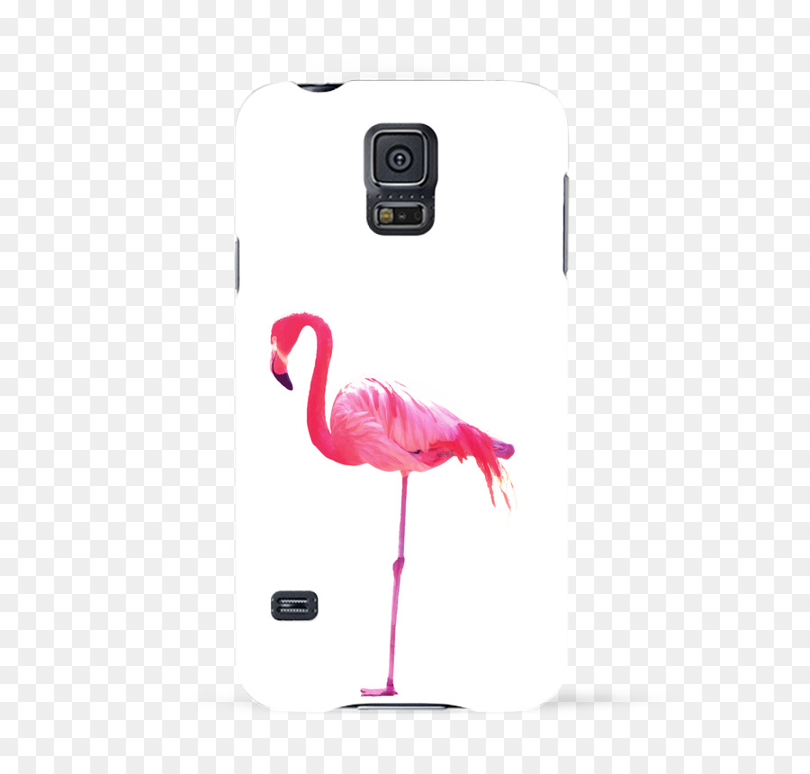 Tshirt，Flamingo PNG