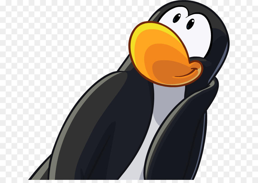 Penguin，Burung PNG